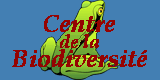 Symposium de peinture 2004 � � couleurs du printemps